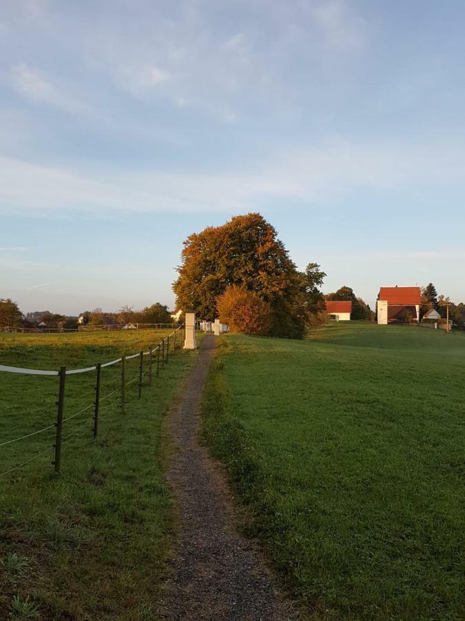 Ferienwohnung Dressler Wolfegg Exterior foto